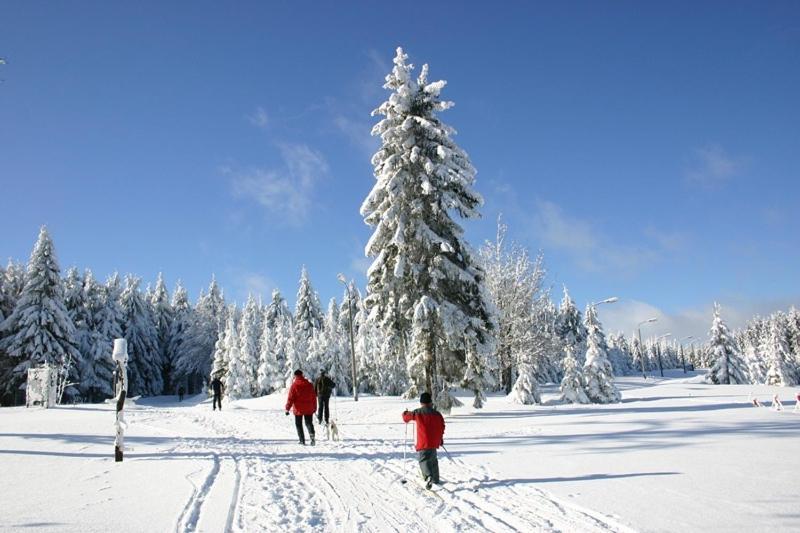Konsumhotel Am Park Oberhof  Luaran gambar